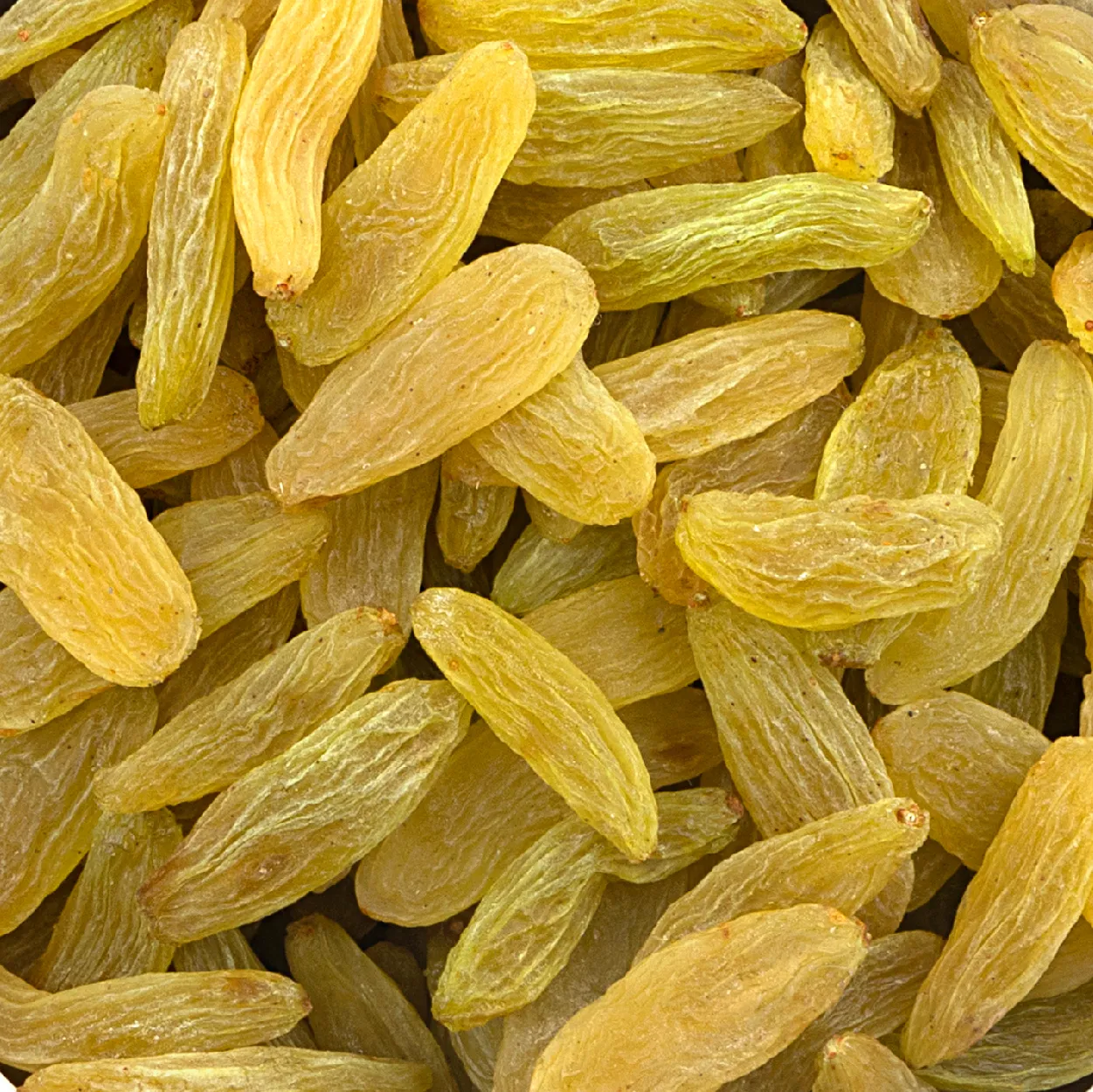 Trusted Raisins Manufacturer & Exporter from Sangli, India